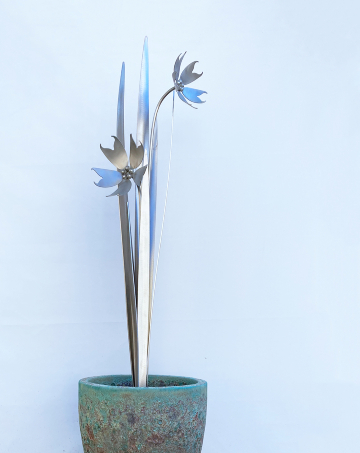Silver Blooms