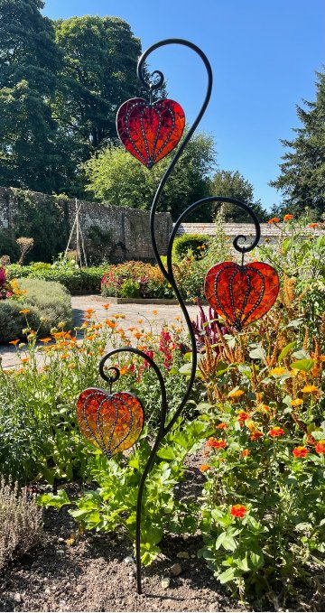 Chinese Lanterns