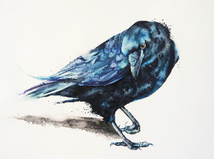 Paintings at Delamore Arts Exhibition