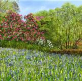 Springtime Awakenings