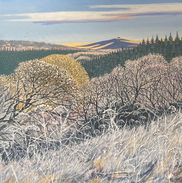 Frost in the Valley and Links Tor
