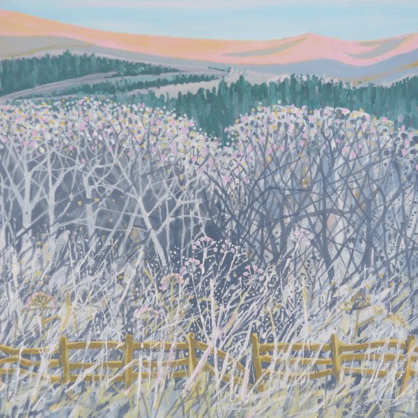 Pink Moors in Winter