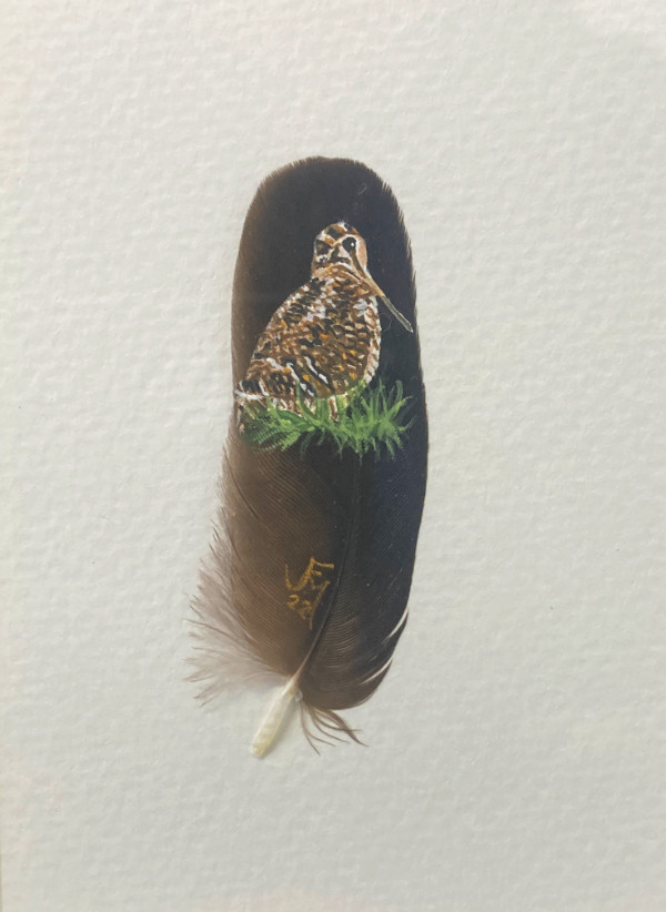 Crepuscular Woodcock