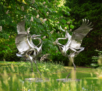 Japanese Cranes 