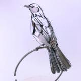Blackbird on C