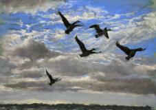 Evening Flight 