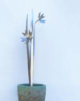Silver Blooms