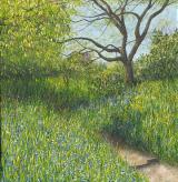 Quietude